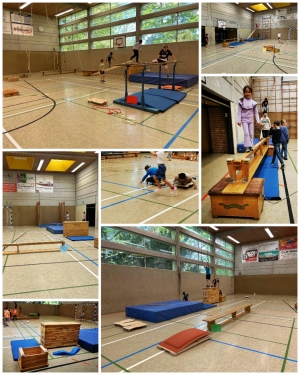 pro sport2